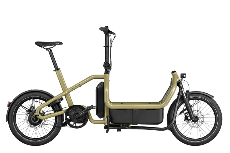 Riese and Muller Carrie Vario Cargo Bike In Anise